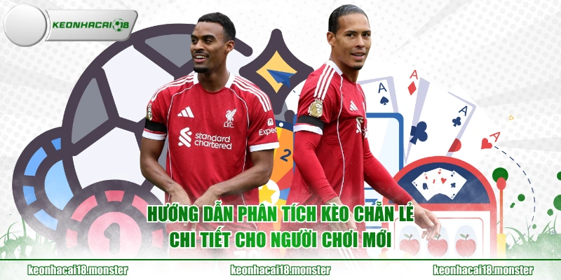 Hướng dẫn phân tích kèo chẵn lẻ chi tiết cho người chơi mới