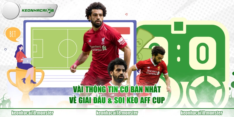 Vài thông tin cơ bản nhất về giải đấu & soi kèo AFF Cup